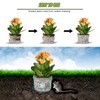 Froidesente 15 Gallon Root Guard Gopher Baskets Proof Stainless Wire