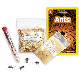 Nature Gift Store 1 Tube of Live Ants Plus Ant Food, Honey Treat, & Book Bundle: Ant Habitat Kit Refill