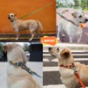 LaRoo Waterproof Dog Collar Heavy Duty PVC Pet Collars for