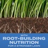 Scotts Scotts Turf Builder Grass Seed Sun & Shade Mix with Fertilizer and Soil Improver, Thrives in Many Conditions, 32 lbs.