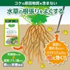 GEX MeGreen Bottom Sand Nutrition Pellet for Growing Aquatic Plants,