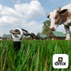DMX Trampoline Anchor M12 – Swing Hook – Universal Eye