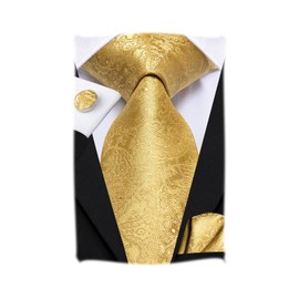 Hi-Tie Men Tie Pocket Square Cufflinks Set Silk Formal Necktie for Wedding Business Party,Golden Paisley