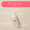 VERB Dry Shampoo Powder – Vegan translucent Powder Refreshes Hair,