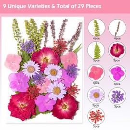 Dried Pressed Flowers for Resin, Real Pressed Flowers Dry Leaves Bulk Natural Herbs Kit for Scrapbooking DIY Art Crafts, Nails Décor, Epoxy Resin Jewelry, Candle, Soap Making (Rose red)