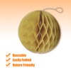 Ruidee Pack of 8 Paper Honeycomb Balls 20 cm Honeycomb