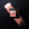 Paula B.A 3D Oasis Blush 01 [Face Color] 0.3 oz