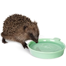 Jacobi Jayne Hedgehog Water Bowl Hedgehog Water Dish - Weather Resistant, Frost-proof Hedgehog Water Dish -Perfect to Offer Alongside Hedgehog Food