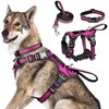 WINSEE Pet Harness Collar and Leash Set, All-in-one Reflective Dog