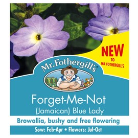 Mr Fothergills Mr Fothergill's Forget Me Not Seeds, Blue Lady (Jamaican), 1000 Seeds
