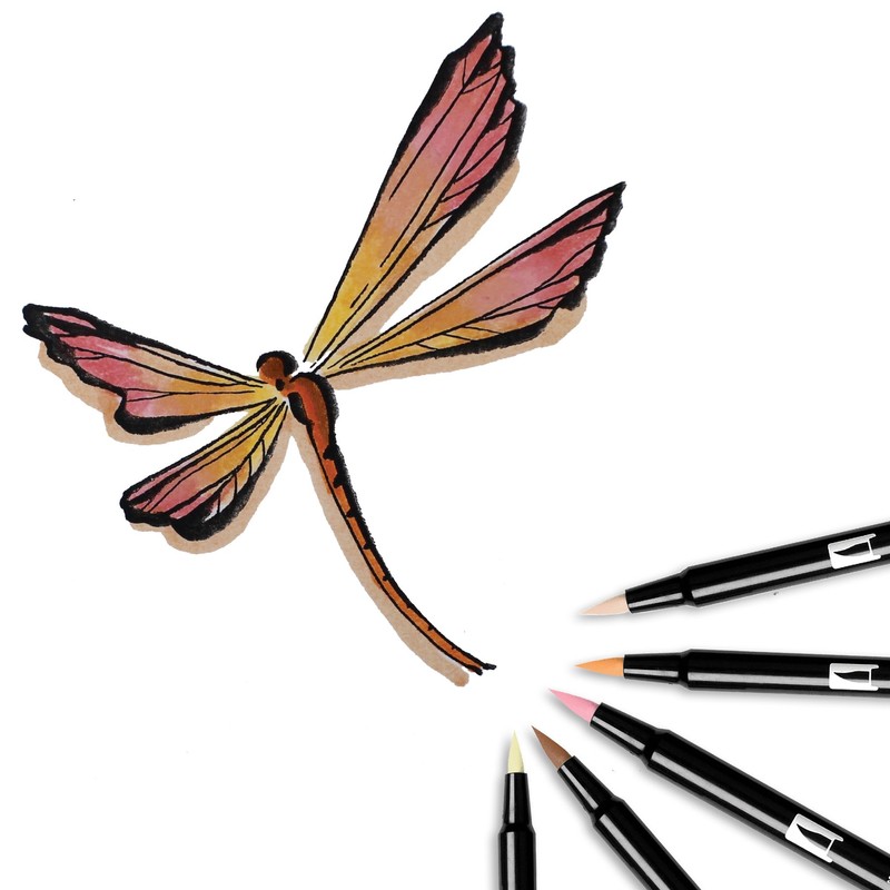 Tombow Dual Brush Pen Art Markers, Portrait, 6-Pack, DBP6-56165
