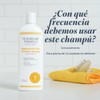 Veterinary Formula Clinical Care - Champú para perros con avena
