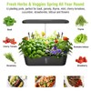 Hydroponics Growing System Kit 52 Pods, Indoor Herb Garden with