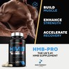 Insynergy Labs HMB Pro 1,000mg & Vitamin D (Superior Absorption