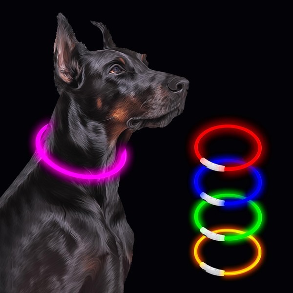 Light Up Dog Collar Led Dog Collar Rechargeable Waterproof, Glow