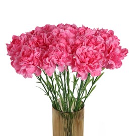 INSUNSIX Pink Carnations Artificial Flowers 15PCS Carnations Flowers Silk Flowers 21.25in Fake Flowers for Wedding Home Table Centerpieces Floral Arrangements(Hot Pink)