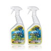 MiracleMist Instant Cleaner for Indoor and Outdoor Use, 32 oz