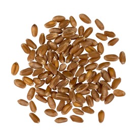 Palouse Brand Certified Glyphosate Residue Free | Red Winter Wheat Berries | 36 LBS | Family Farmed in Washington State| Sproutable | Non-GMO Project Verified | Kosher | Poly Bag