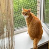 QILUCKY Polyester Fibre Cat Protection Net for Balcony, Can Be