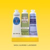 L'OCCITANE Hand Cream Classics, 3-Piece Set: Moisturizing Hand Creams, Iconic