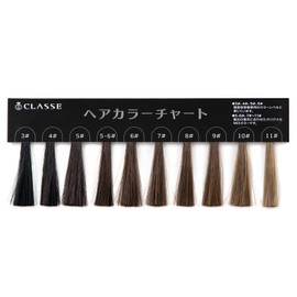 CLASSE Hair Color Chart for Checking Hair Color at School or Workplace. The latest color card type makes it easy to carry around