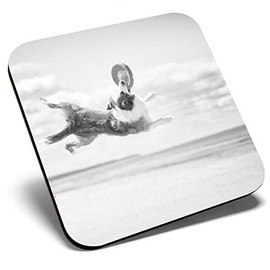 Great Single Coaster Square BW - Border Collie Frisbee Beach |Glossy Quality Coasters | Tabletop Protection for Any Table Type #36469