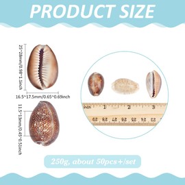 PH PandaHall Pack of 50 Natural Serpent's Head Cowrie Shells, 25 mm Brown Ocean Beach Shells, Small Craft Shell Ornament for DIY Craft, Summer Party, Table Costume, Fish Tank Decoration, 250 g