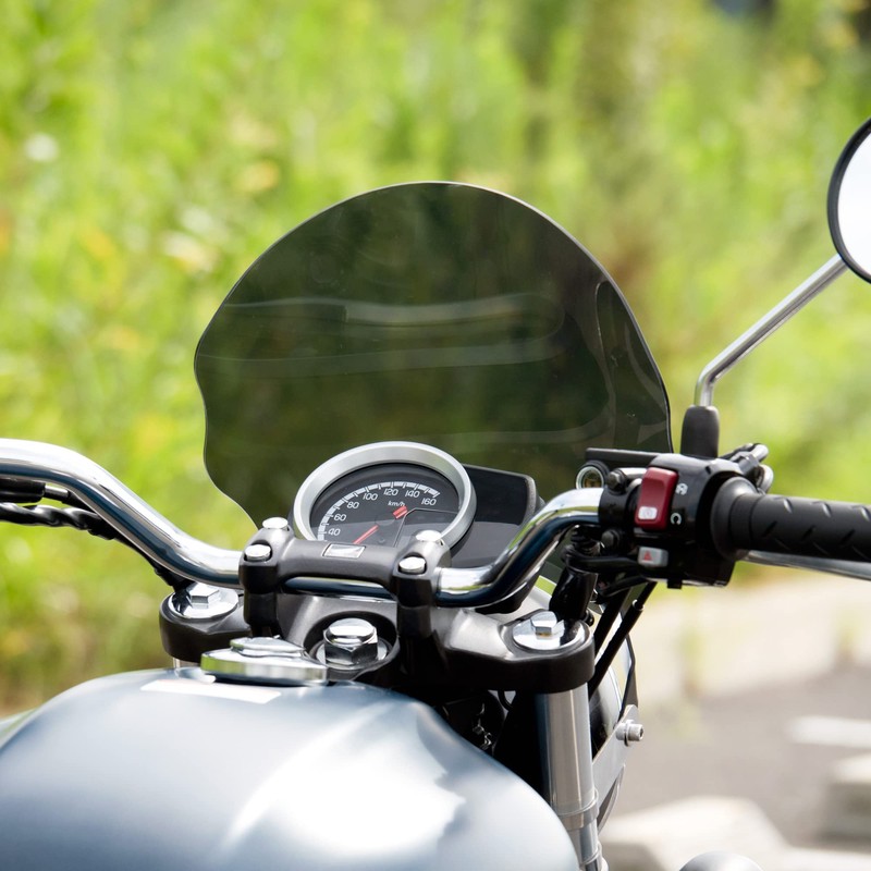 World Walk GB350 Meter Visor Middle Smoke ws-37-ms