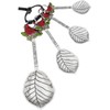 Ganz 4-Piece Measuring Spoon Cardinal Red Silver