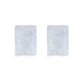 Fisher & Paykel Sleepstyle air Filter (2-Pack)