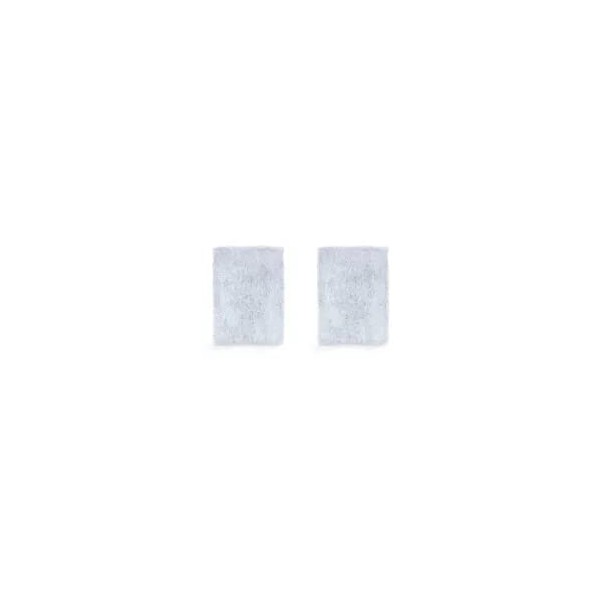 Fisher & Paykel Sleepstyle air Filter (2-Pack)