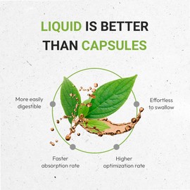 Secrets of the Tribe Andrographis Tincture Alcohol-Free Extract, Fah talai jone, Chuan Xin Lian, Andrographis Paniculata Immune System Health 2 oz