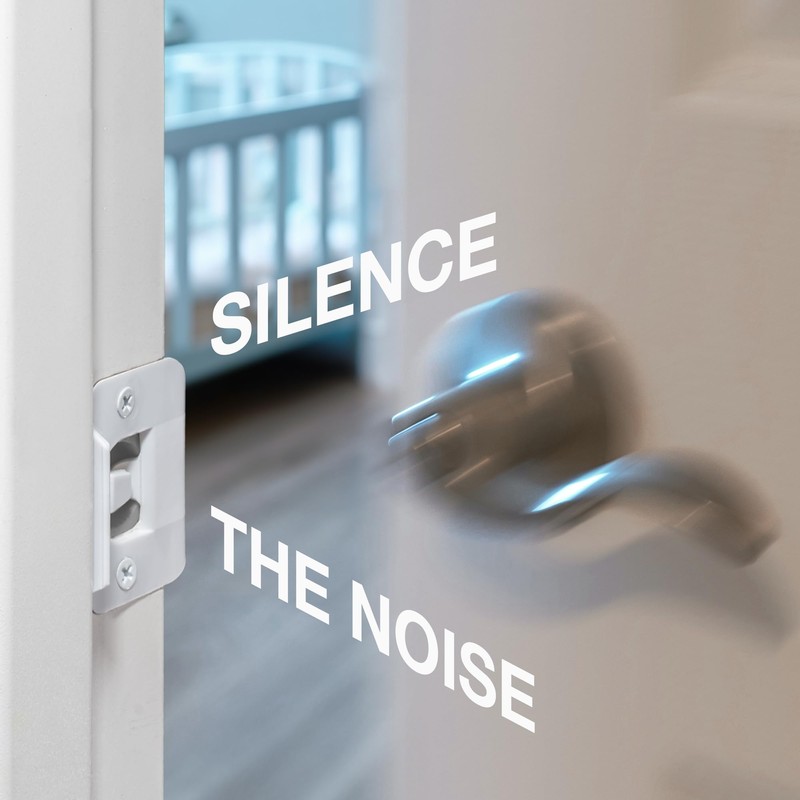 BrainExploder Door Silencer Strike Plate - Flexible, Noise Eliminating Fix