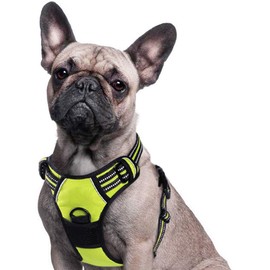 Eagloo Dog Harness No Pull, Walking Pet Harness with 2 Metal Rings and Handle Adjustable Reflective Breathable Oxford Soft Vest Easy Control Front Clip Harness Outdoor for Medium Dogs Green