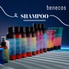 benecos Natural Basics Shampoo Shine & Repair Organic Argan Oil