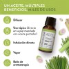 Aceite Esencial De Citronela Puro 15ml Para Difusor Y Aroma