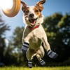 2 pcs Double Side Anti Slip Dog Socks,Paws Stop Licking
