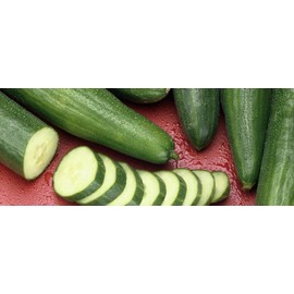 NIKA SEEDS - Vegetable Cucumber Emilia Long for Salads Without Bitterness for Pickling - 20 Seeds