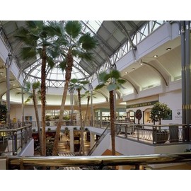 HistoricalFindings Photo: Tysons Corner Center Shopping Mall,Tysons Corner,Virginia,VA,Carol Highsmith 1