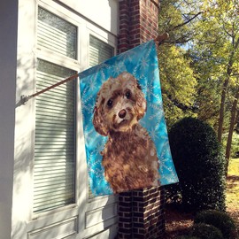 Caroline's Treasures BB9444CHF Brown Cockapoo Winter Flag Canvas House Size, Large, Multicolor