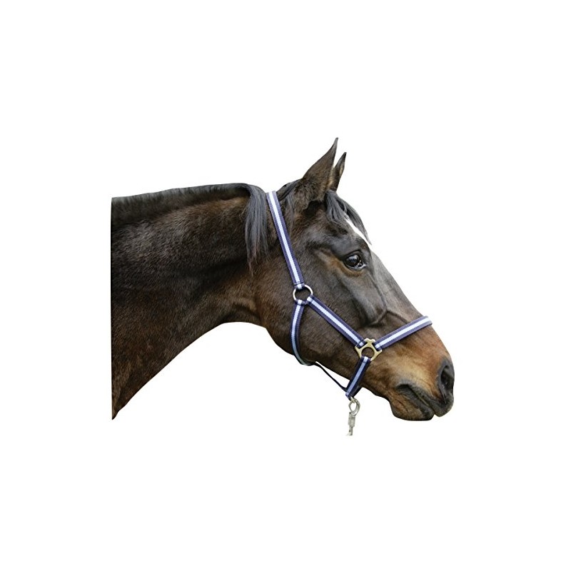 Kerbl Unisex's Hippo Head Collar-Blue, Size 00