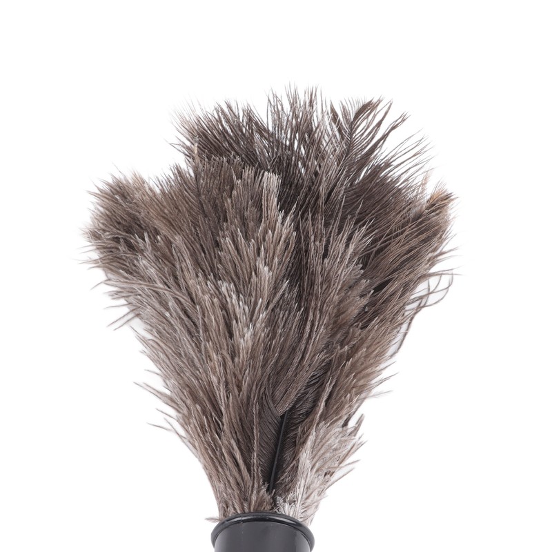 2Pcs Retractable Feather Duster Ostrich Feathers Duster with Long Handle