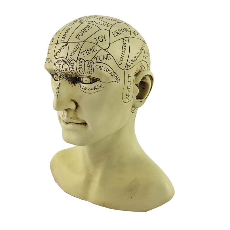 Things2Die4 Creepy Cast Resin Phrenology Head Victorian Steampunk