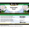 Hydrangea Root Cream (2 oz, ZIN: 524029)