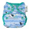 Pop in Nappy with Press Stud - Blue