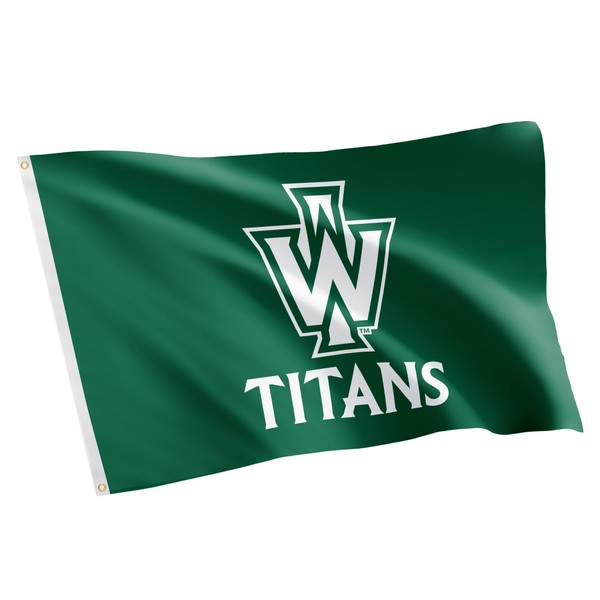 Desert Cactus Illinois Wesleyan University IWU Flag - 3 x