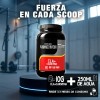 Cla + Carnitina 1kg Warhorse Suplemento 100 Servicios Varios