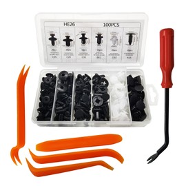 VSREI Pack of 100 Mounting Clips, Car Mounting Clips, Body Clips, 6 Types Door Trim Clips Set, Car Fasteners and Clips, Plastic Clips for Car (with Removal Tool 2)