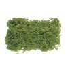 Earth Farms Natural Mountain Moss/with Sachet (50g) Green do61170 –