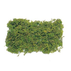 Earth Farms Natural Mountain Moss/with Sachet (50g) Green do61170 – 700
